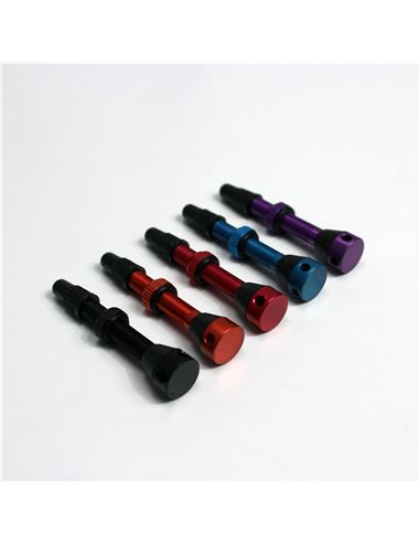 VALVULA TUBELESS PARA NUBES UNI.