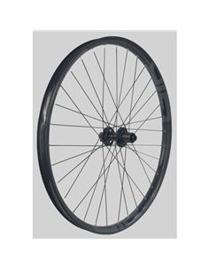RUEDA GURPIL GTS SL30 29" BOOST E-BIKE 6T. SHIMANO GRIS