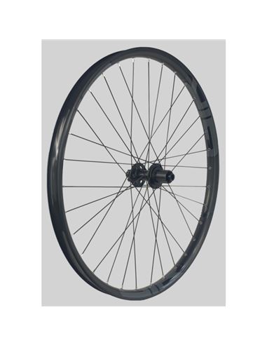 RUEDA GURPIL GTS SL30 29" BOOST E-BIKE 6T. SHIMANO GRIS