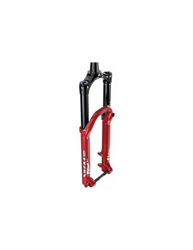 Mantenimiento profesional horquilla Rock Shox Lyrik o Yari con retenes SKF y portes incluidos en CICLOESPAI.jpg