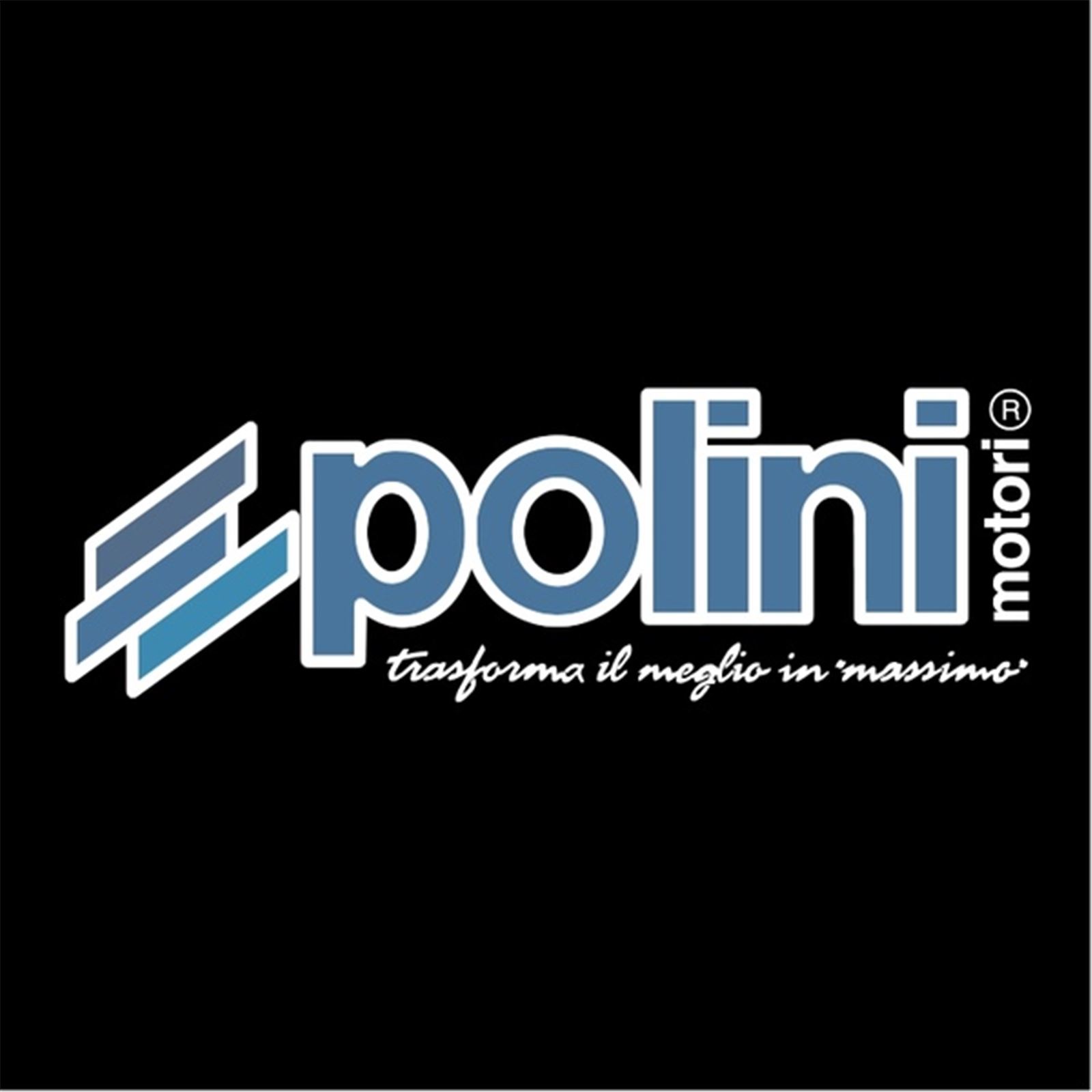 POLINI